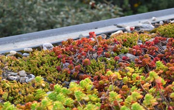 the cost of Parkwood Springs green roof installation